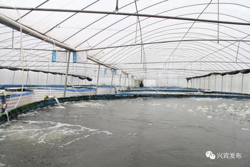 水產養殖新模式 探綠色發展新路