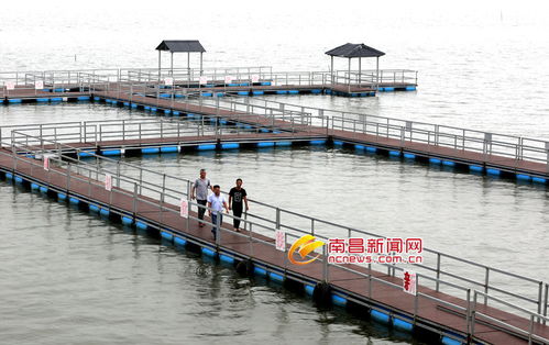 水產養殖 綠色財富驅動助農增收新引擎