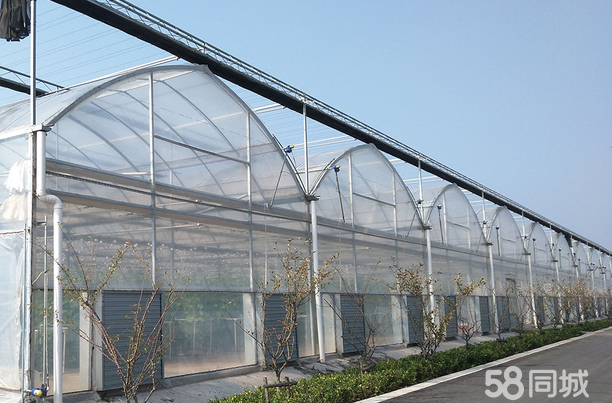 專業定做溫室大棚 從骨架到配件，全面助力現代農業與水產養殖