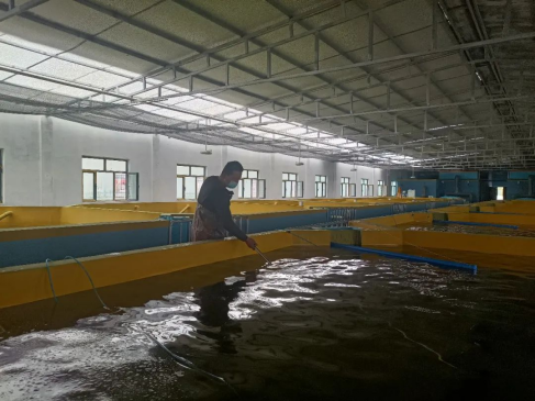 南疆水產養殖迎新篇 循環水工廠化基地在新和縣試運行