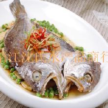 合作水產養殖全解析 價格、批發、廠家與實戰指南