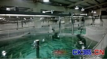 LED在工廠化水產養殖中的應用與前景