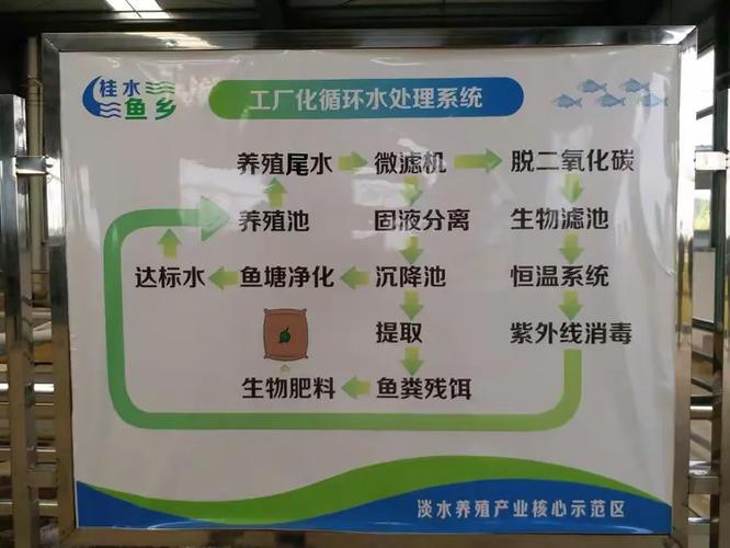 水產養殖新技術 引領產業綠色轉型與智能升級