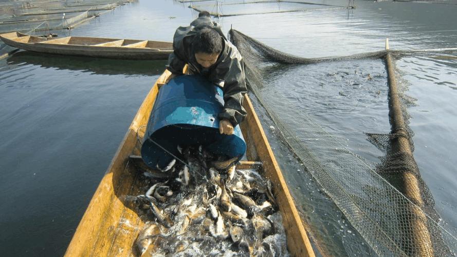 碧水興漁 綠富同興——南加鎮大力發展水產養殖產業紀實