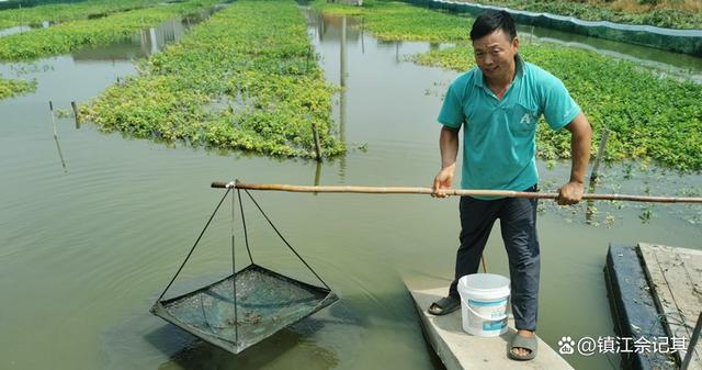氣象指數保險為丹陽水產養殖戶撐起“保護傘”